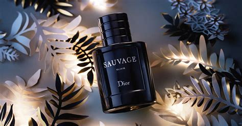 dior sauvage vergleich|Dior Sauvage website.